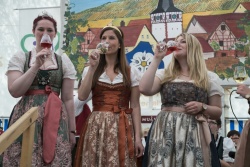 41_Dertinger_Weinfest.jpg