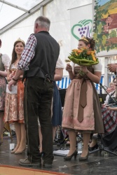 49_Dertinger_Weinfest.jpg